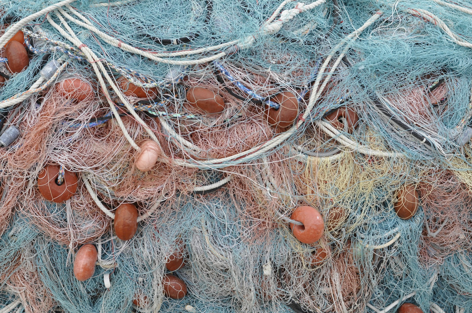 Filet dérivant, pêche au leurre ou paravent, l’art subtil de la collecte de données